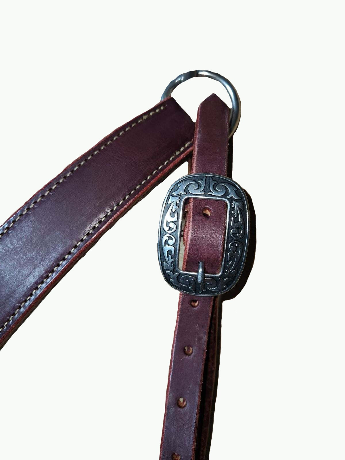 BC237-1_Breast Collar Horse Shoe Brand Buckles on Chestnut Leather